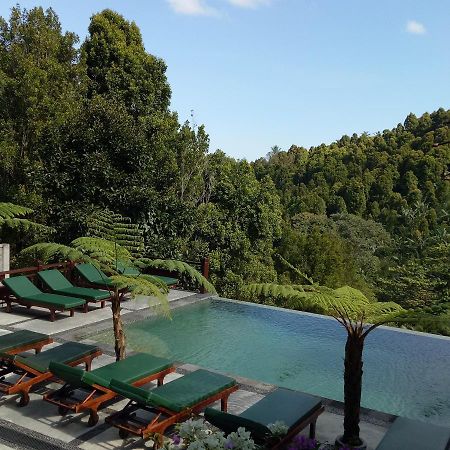Bintang Munduk Hotel ภายนอก รูปภาพ
