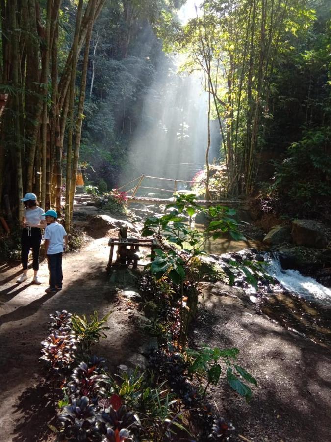 Bintang Munduk Hotel ภายนอก รูปภาพ