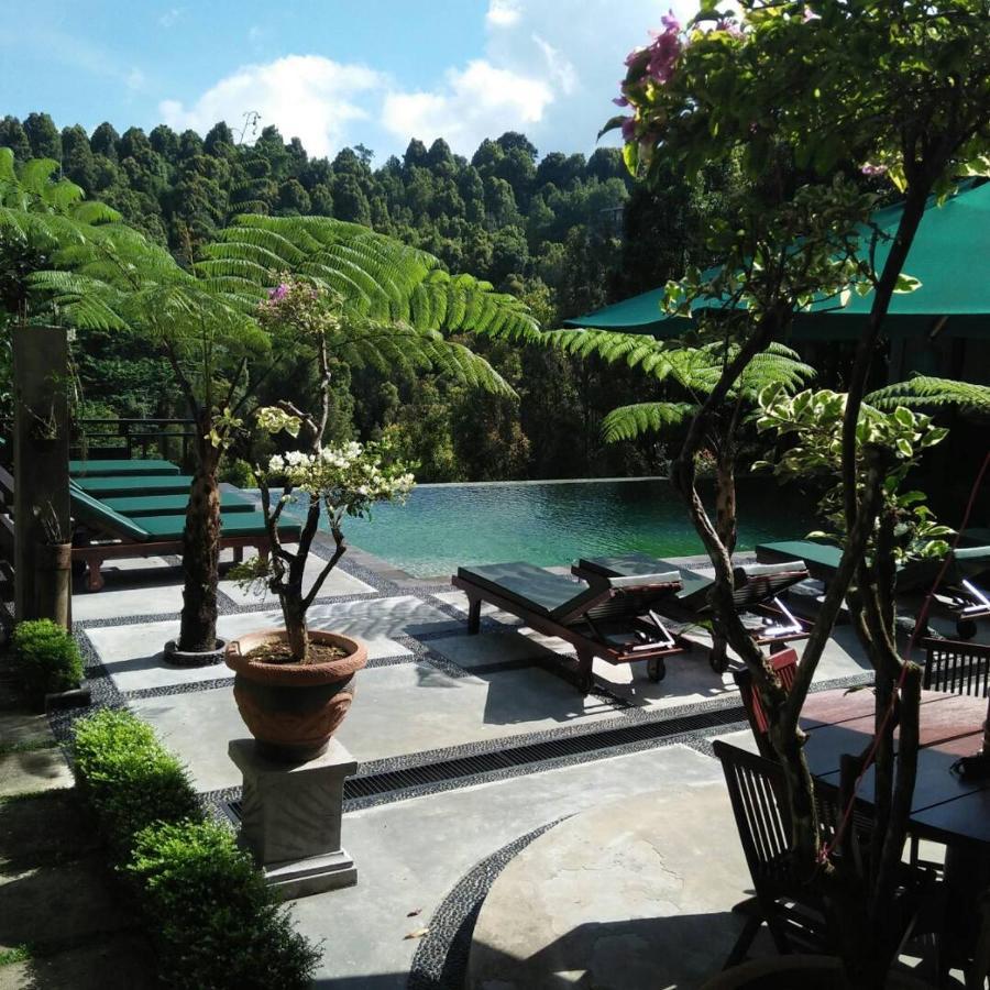 Bintang Munduk Hotel ภายนอก รูปภาพ